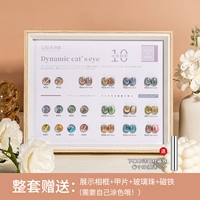 Динамичный магнитный цветовой круг, кошачий глаз