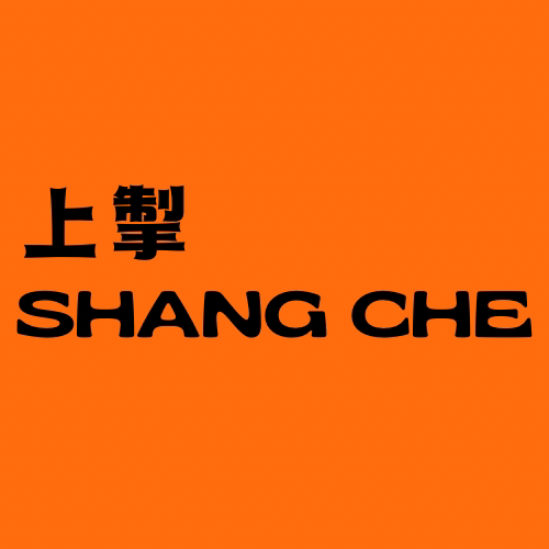 上掣摩托车装备的LOGO