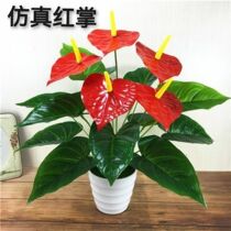 Simulated plastic red palm green fake pot pot pot pot view living room desk in the décor interior decoration