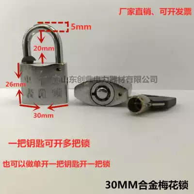 Power meter box lock 30mm plum blossom alloy lock box variable padlock through-open padlock Internet cafe main case lock Power lock