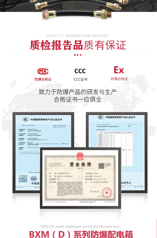 Ống nối linh hoạt chống cháy nổ BNG tùy chỉnh 
            ống nối 4/6 điểm DN20 ống cuộn dây cuộn dây đột phá ống nối ống