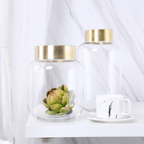 Nordic simple transparent copper ring glass vase metal copper edge home living room hydroponic decoration flower arrangement ornaments