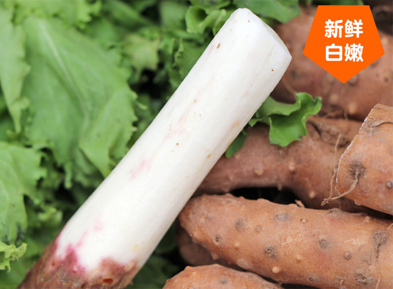 垆土地山药，60公分山药，焦作山药，温县山药团购价格插图(8)