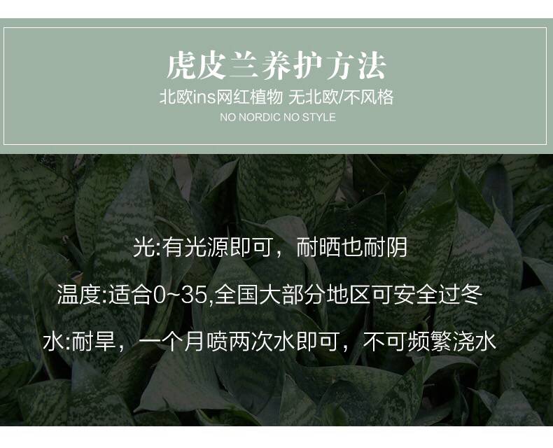 gm6WifKnzdTvlDvQUnfVcyOnypZXI/jR2rQl