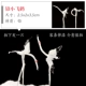 [铅小飞鹤（拍下发一只）]