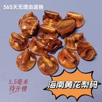 Haihuang Erhu Code Order placed before 4 oclock and shipped on the same day