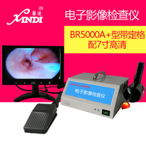Shanghai Xindi brand BR5000A + electronic image checker otorhinolaryngoscope detector with fixed frame