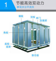 Zhejiang Province cold storage full set of equipment installation Seafood quick-frozen storage Frozen fish shrimp meat cold storage Tea fruit ice storage