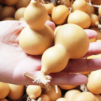 Natural small gourd with faucet hand-twisting hand-twisting high-quality toy hand-grip hand-plate toy hand-twisting hand-twisting ornaments