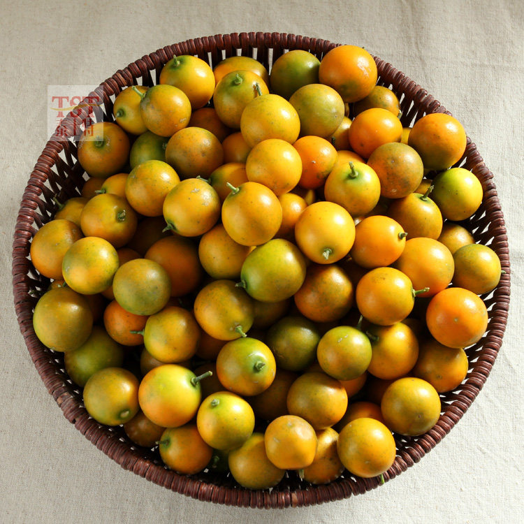 德品优 广西脆皮金桔 5斤 天猫优惠券折后¥24.8包邮(¥29.8-5) 德品优 广西脆皮金桔 5斤 天猫优惠券折后¥24.8包邮(¥29.8-5)