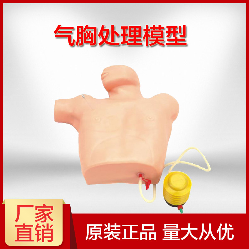 气胸处理模型气胸减压训练模拟人医学培训模型教学穿刺实训模拟人