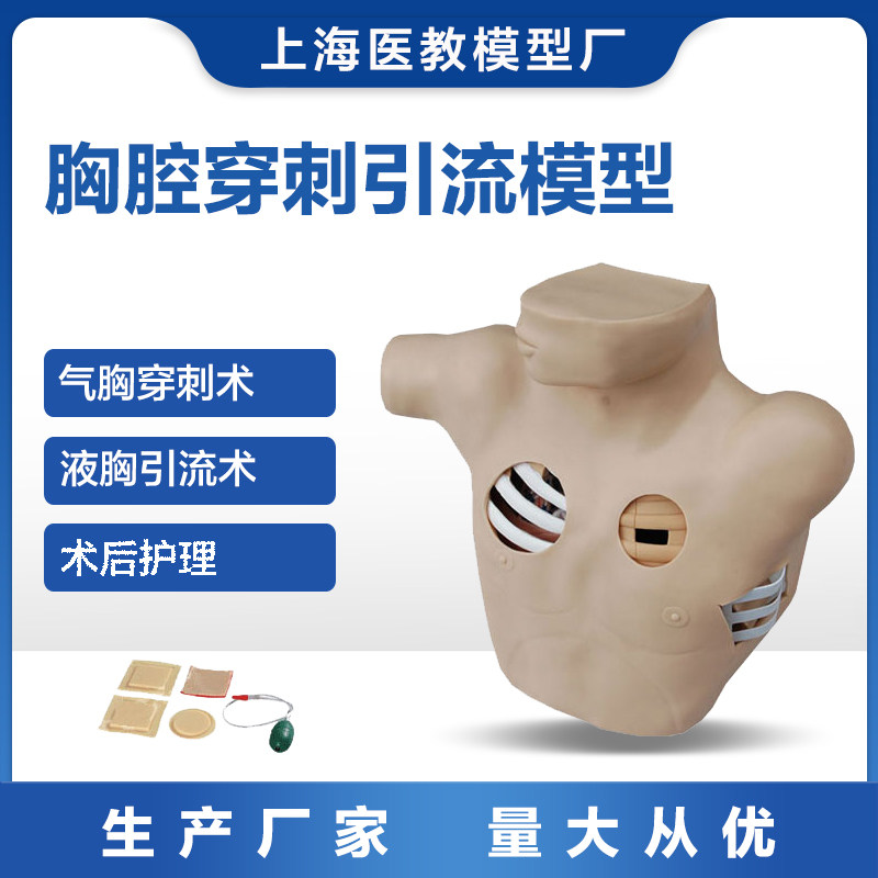 胸腔穿刺引流训练模型胸腔穿刺模拟人气胸穿刺减压及液胸插管引流