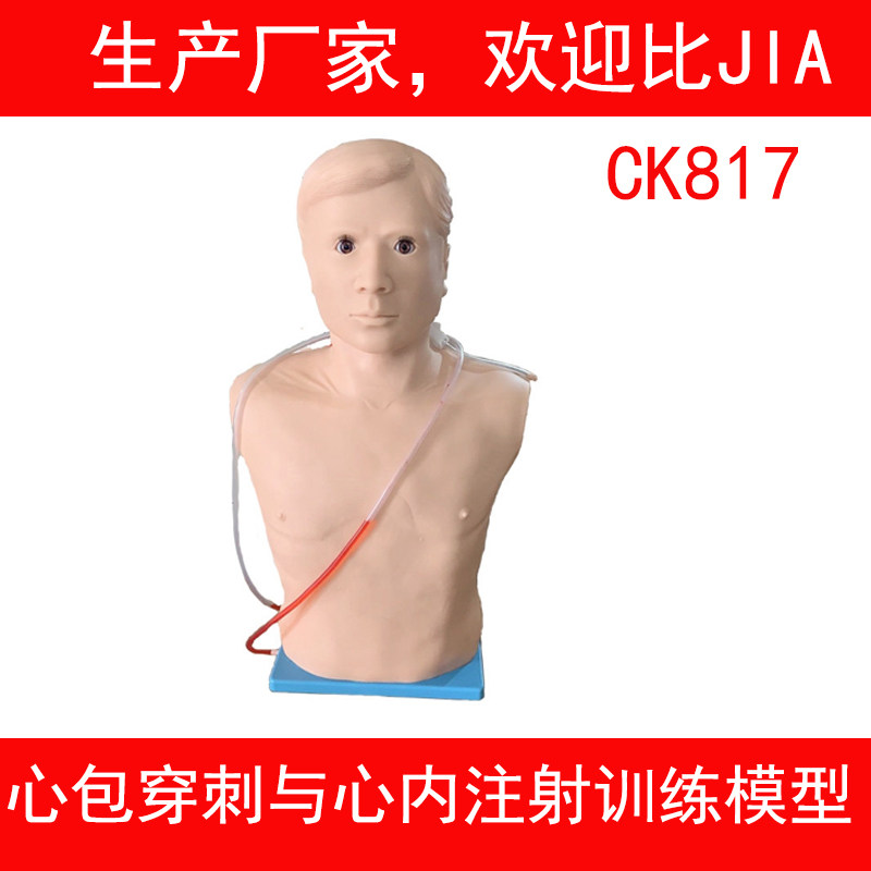 心包穿刺与心内注射训练模型 胸骨剑突肋骨各肋间隙触知液体引出
