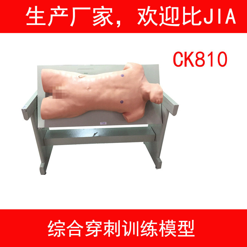 综合穿刺术与腹部叩诊训练模型 胸腔腹腔肝脏骨髓综合穿刺模拟人