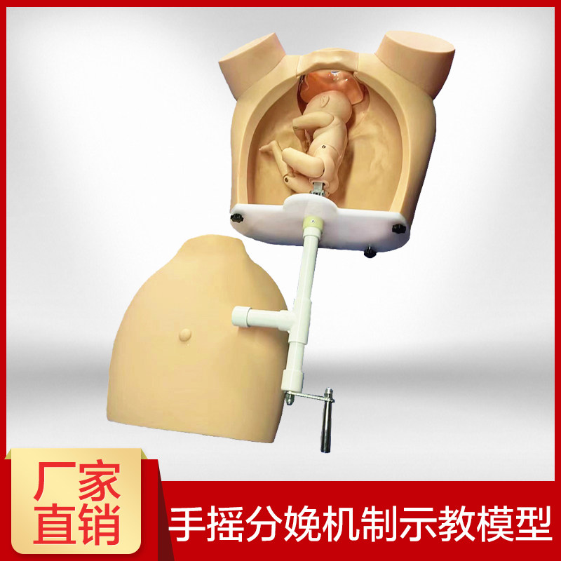 高级手摇分娩机制示教模型 医学用练习模具 助产训练模型分娩教学