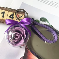 Noble Purple 5cm Special Propect Model Diy