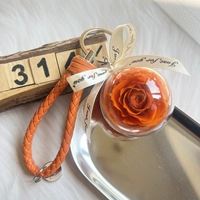 Orange 5cm Special Price Model