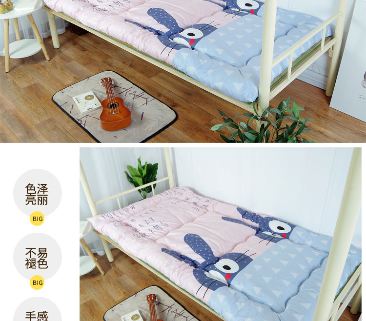 Ký túc xá trường học, 1 mét, thảm sàn, nệm mút, đệm, nệm giường, giường đơn 1,2 m, giường tầng - Nệm nệm 1m2