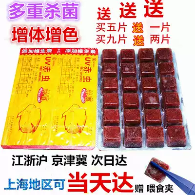 Fresh frozen red blood worm frozen red worm red worm red worm nematode Luohan fish goldfish colorful rich feed