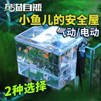 Qi Yi Natural Hanging Cylinder Electric Onsolation Box Fish Tank Aquari Столичная инкубационная коробка