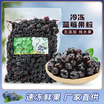 Frozen fresh blueberry fruit 1kg quick-frozen blue plum frozen fruit milk tea shop special for beverage juice jam