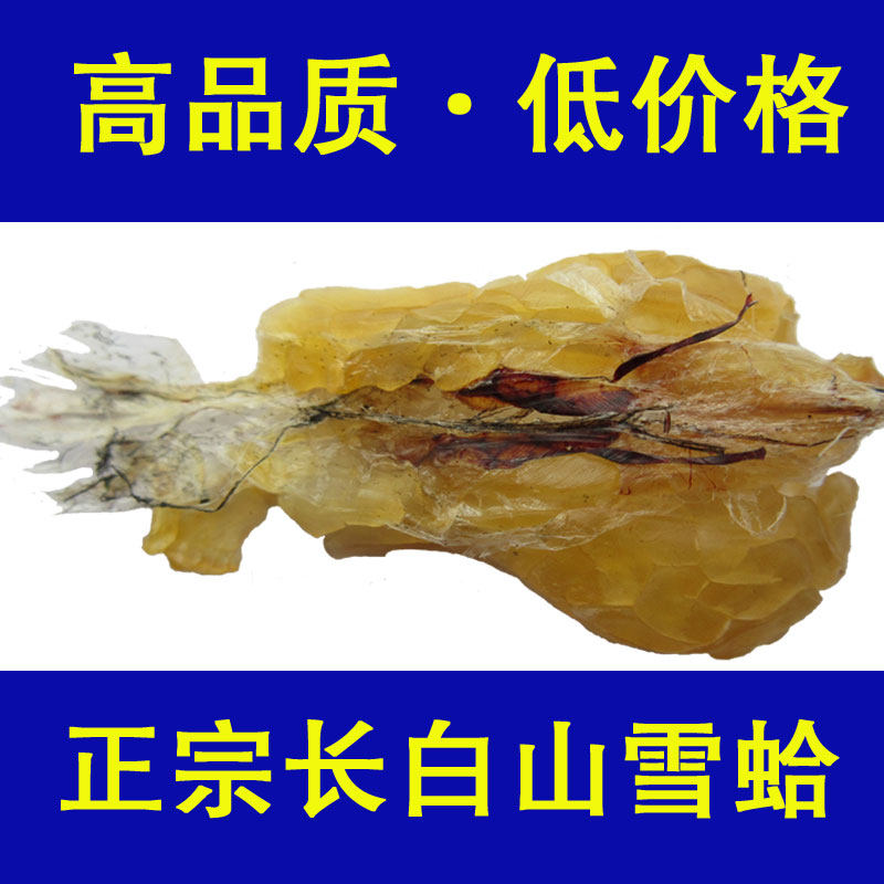 Snow clam forest frog oil Changbai mountain snow clam oil snow clam pigment snow clam paste mountain nourishing forest frog oil snow ha oil