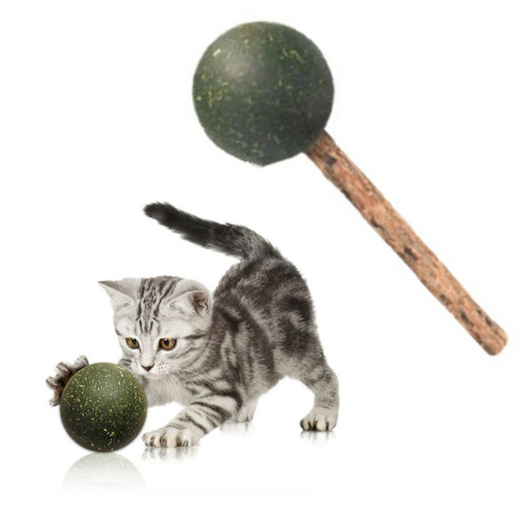High quality quality cat mint ball grilled teeth resistant to play kitty mint ball kitty exciting ball toy