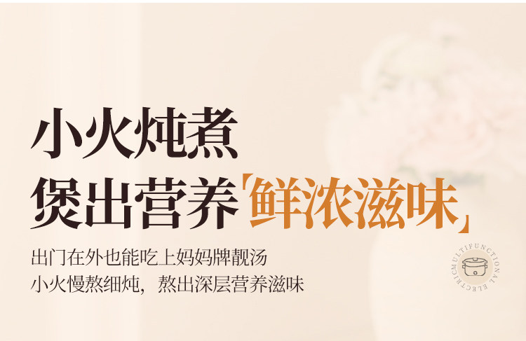 Плиты 加厚4l电炒菜炒锅一体式多功能不粘电煮锅家用电火锅蒸煮煎炒电锅 Yingsn