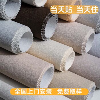 Art Paint Wall Covering Seamless Wall Fabric for Living Room and Bedroom 2026 New Model Micro-Cement High-End Imitation Diatom Mud