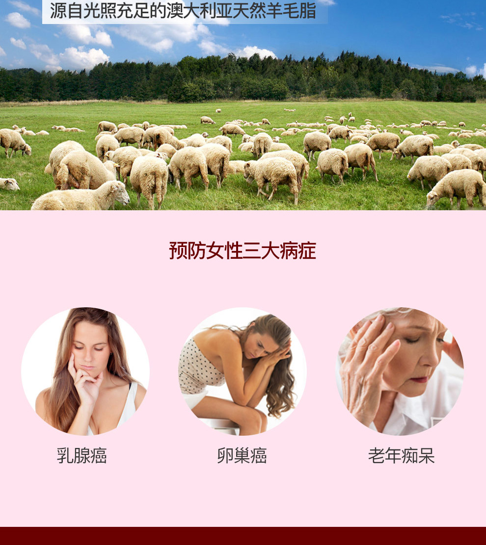 Jamieson 健美生维生素C+D咀嚼片