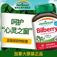 Jamieson Бодибилдинг Blueberry Protection таблетки антоцианиновой капсулы капсулы черника ломтики