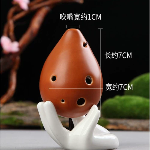 Tauo 6 -Kong Chu Xuexue Студент взрослый средний звук C Zero Foundation Professionals