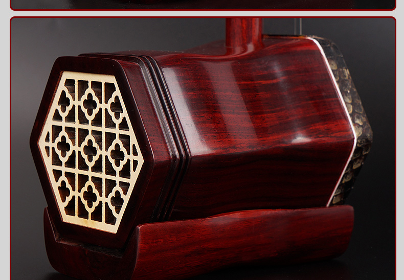 Erhu Nhạc cụ Tô Châu Chính hãng Python Skin Rosewood Huqin Sinh viên trưởng thành Người mới bắt đầu chơi chuyên nghiệp Erhu - Nhạc cụ dân tộc đàn tỳ bà