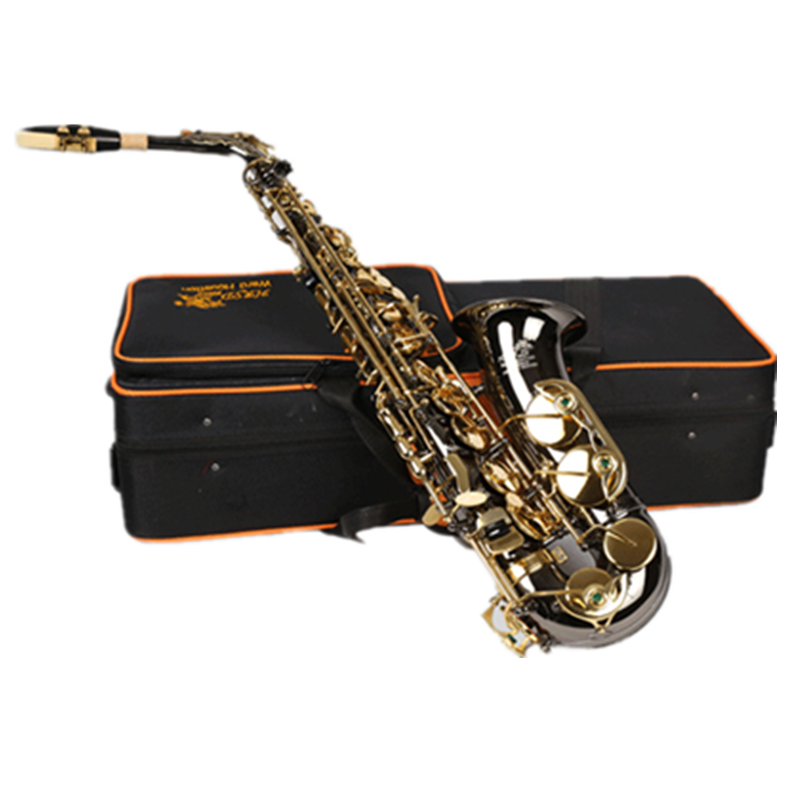 HRSD WOLSTON MIDSIN SAX INSTRUMENT TEST