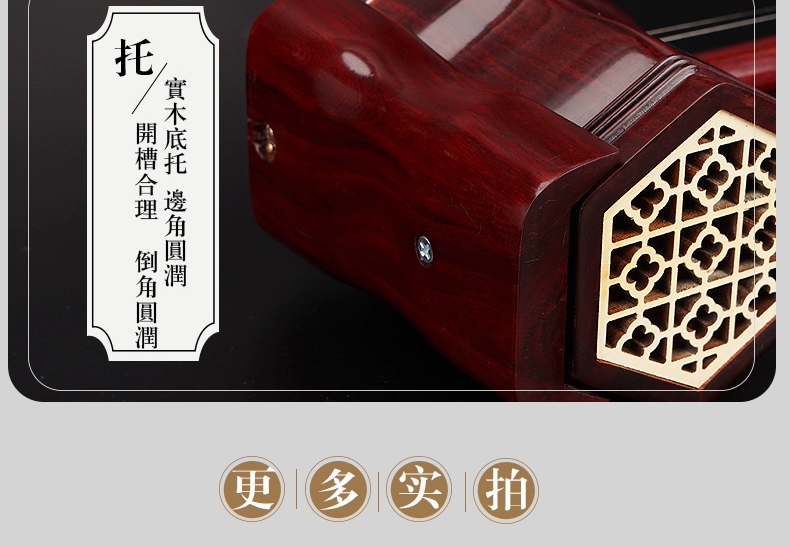 Erhu Nhạc cụ Tô Châu Chính hãng Python Skin Rosewood Huqin Sinh viên trưởng thành Người mới bắt đầu chơi chuyên nghiệp Erhu - Nhạc cụ dân tộc đàn nhị hồ