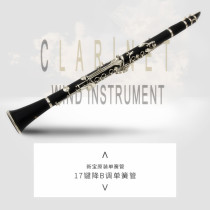 Clarinet instrument beginner amateur clarinet nickel-plated key clarinet B flat soprano western instrument