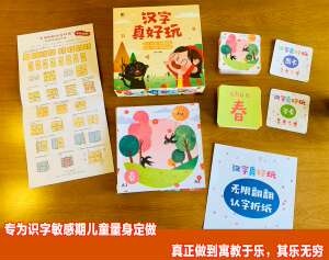 汉字真好玩宝宝学前识字书1-2-3岁婴幼儿认字书幼小衔接入学基础绘本阅读儿童益智启蒙早教卡片幼儿园大中小班看图识字认字神器