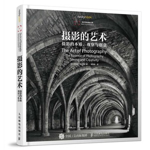 正版 摄影的艺术 摄影的本质观察与创意 拍摄技巧技法 入门自学经典教程教材书籍指南 新手人像风景用光曝光构图 人民邮电出版社