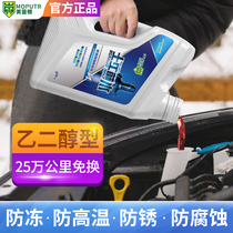 Car antifreeze Engine coolant water tank treasure red green refrigerant vat four seasons universal long-lasting