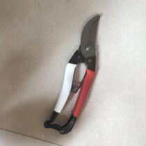 Rattan scissors pruning branch scissors picking fruit cutting saplings grafting tools garden branch scissors bonsai scissors