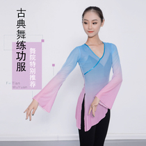 Classical dance practice clothes Female Chinese dance elegant gradient horn sleeve ethnic dance top body rhyme ballet dance gauze clothes