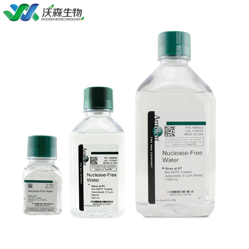 无核酸酶水 Nuclease-Free Water Ambion