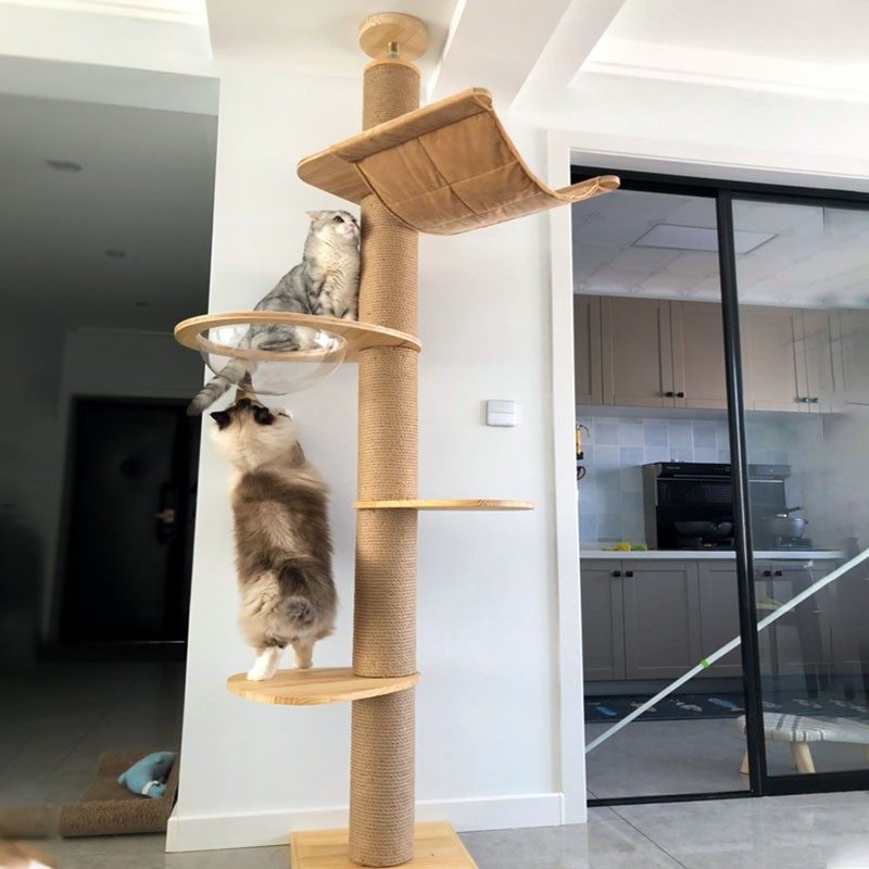 Chopin solid wood cat super rough through the pillar space capsule cat climbing column cat nest cat tree top heaven standing furniture hemp rope