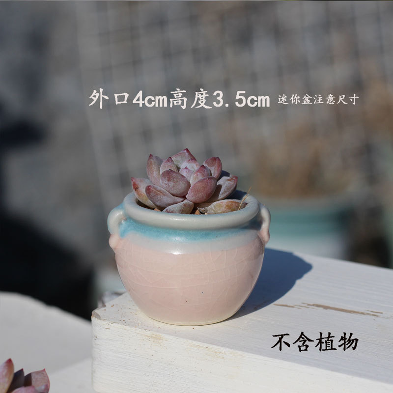 Succulent Flower Pot Ceramic Coarse Pottery Double-Ear Breathable Mini Rainbow-Shaped Personalized Creative Desktop Thumb-Sized Plant Pot Special Offer Succulent Flower Pot Ceramic Coarse Pottery Double-Ear Breathable Mini Rainbow-Shaped Personalized Creative Desktop Thumb-Sized Plant Pot Special Offer