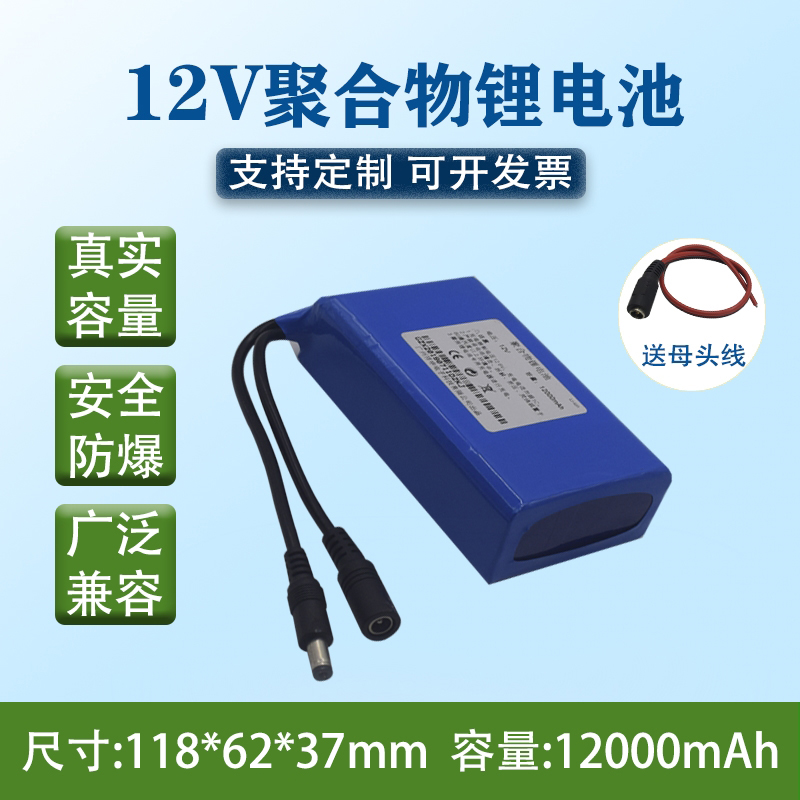 12V polymer lithium battery 12000mAh horse bee suit sound action power monitoring LED volt charging large capacity