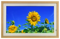 21,5-дюймовая базовая издание Gift 32G-карта, заполненная деревянной, деревянной рамкой