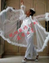 Xixue Solo Dance Costumes Xixue Dance Costumes Classical Dance Fairy Costumes Rental Customized Stage Performance Costumes