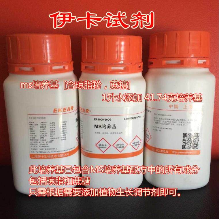 MS medium containing agar powder containing sucrose] 250g 250g tissue culture supplies can be invoiced orchid