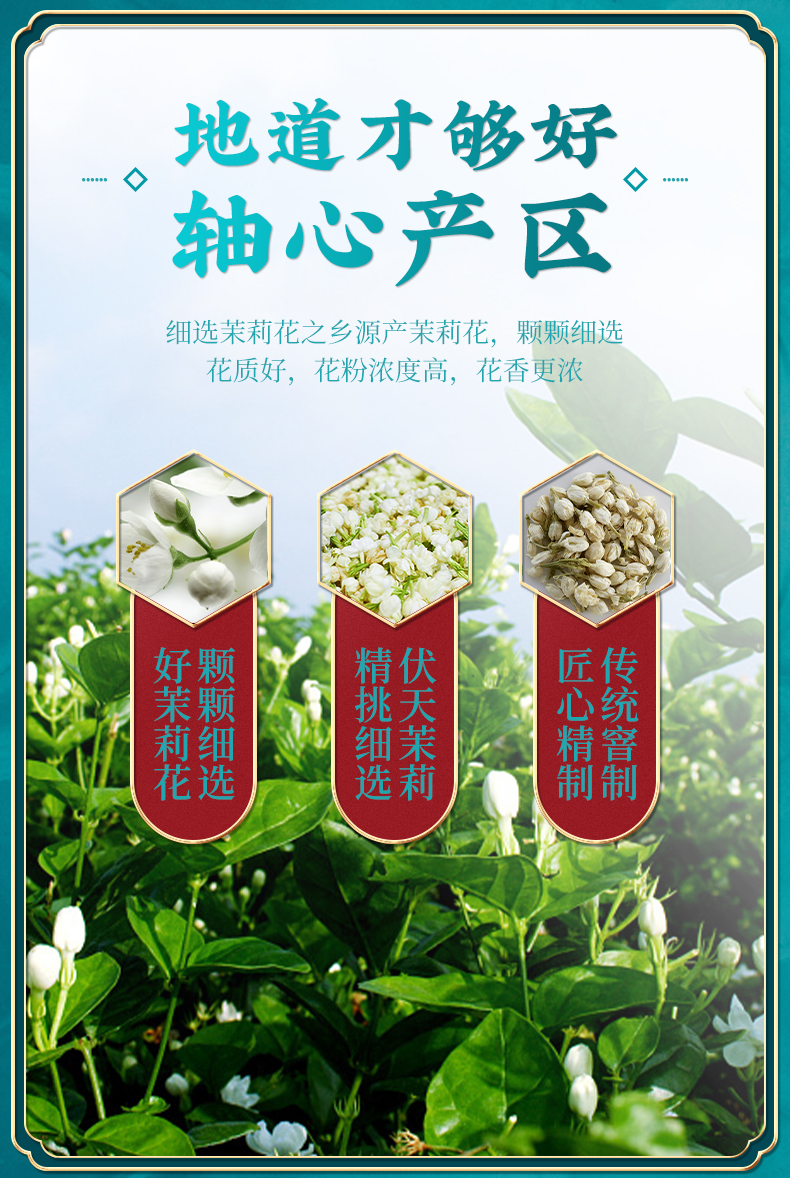 正宗广西横县浓香型茉莉绿茶花茶2罐礼盒装 500g 图4