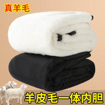 Winter middle-aged and elderly wool pants men plus velvet padded sheepskin cotton pants leather warm cold pants